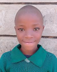 Photo of Linet