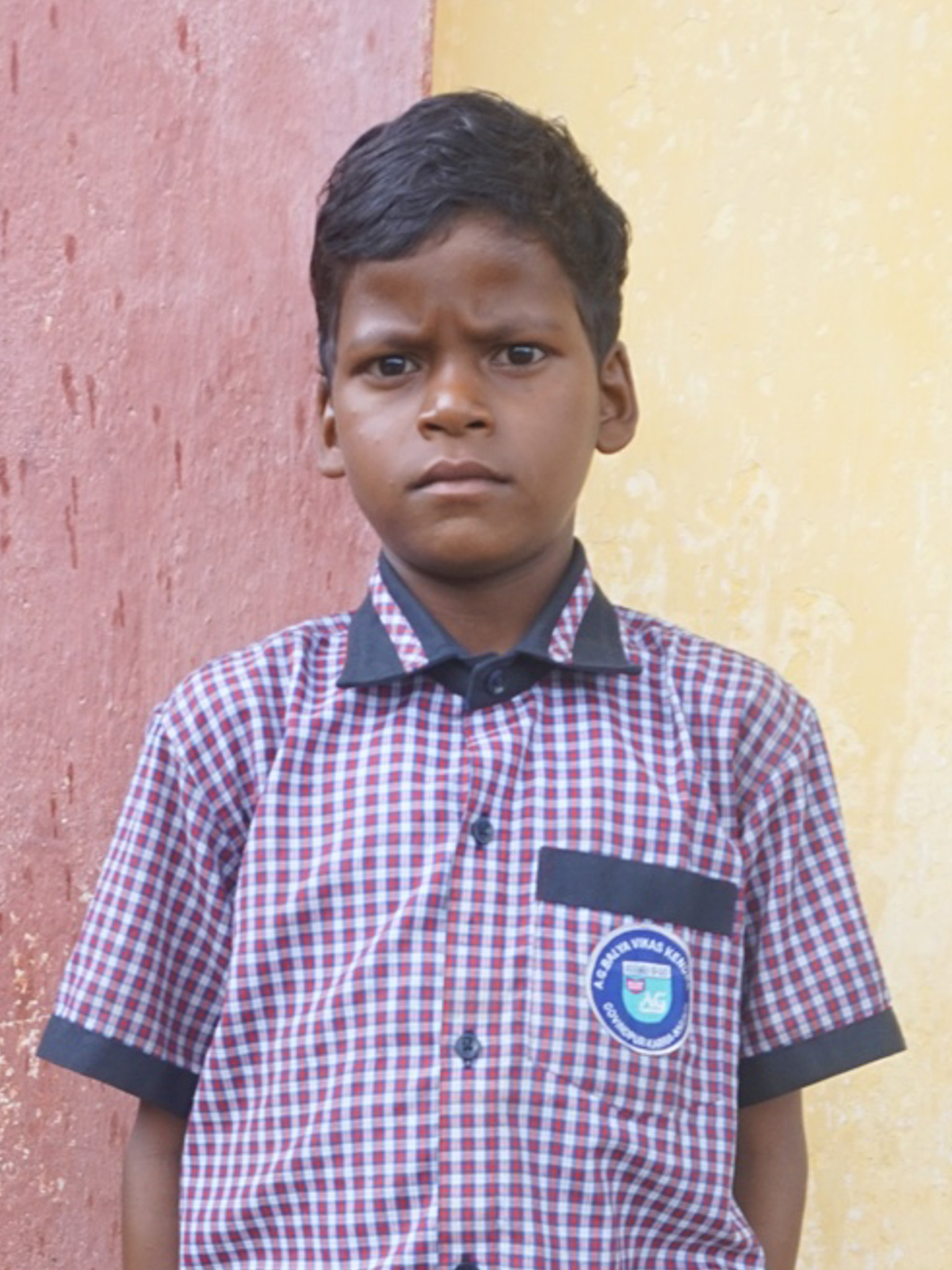 Photo of Robin