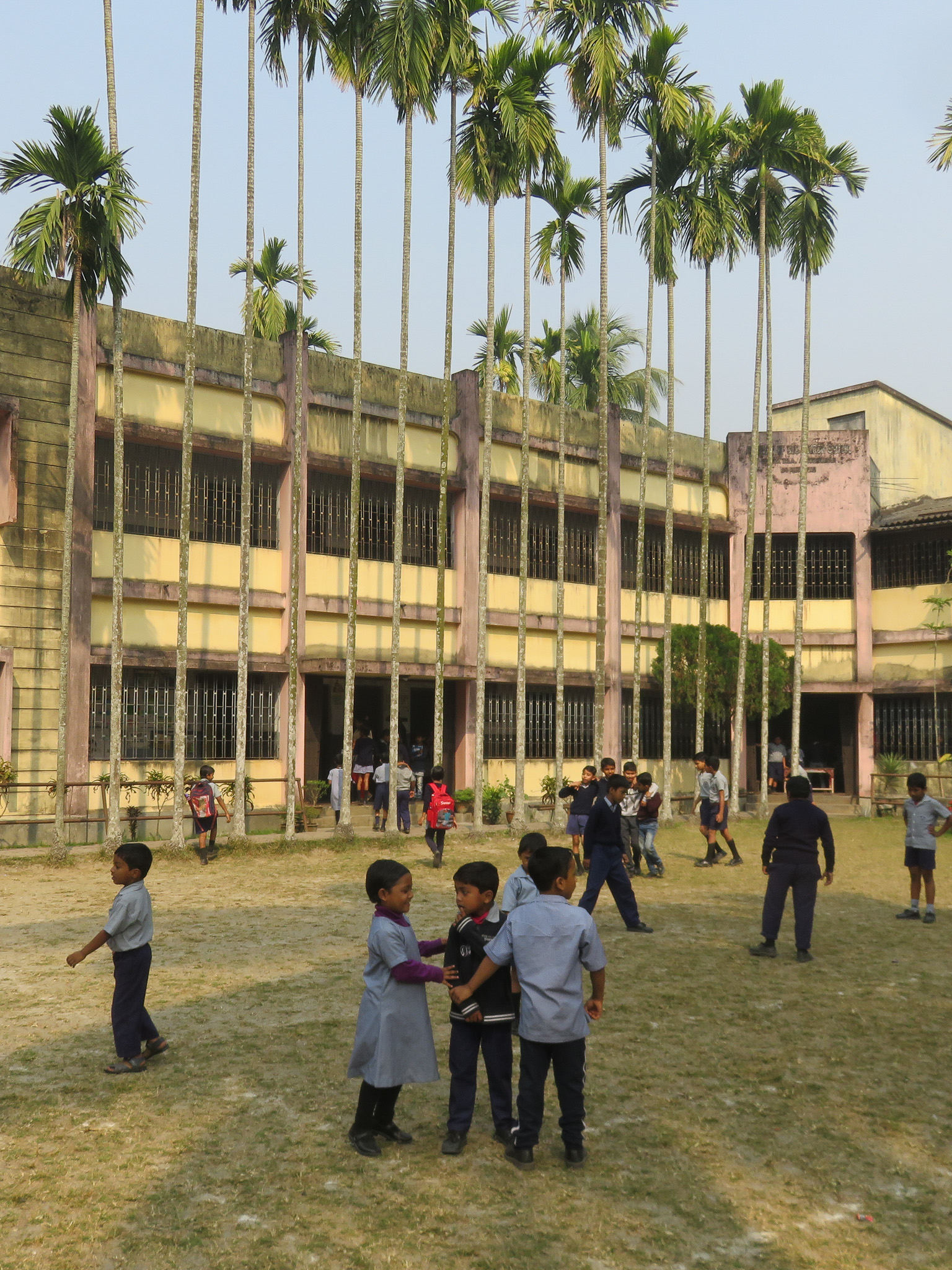 Ashokenagar School
